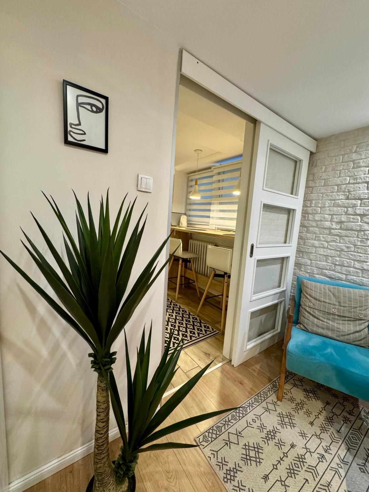 Cozy Haven Apartment Belgrad Exterior foto